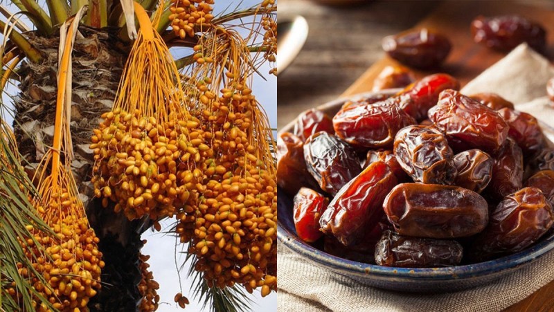 Loại quả được ví như "đường tự nhiên", ngọt mà không hại, giá rẻ hơn cherry, ăn tươi hay khô đều được