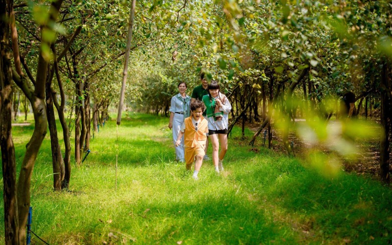 Du xuân 2026: Sơn Tiên giới thiệu Khu du lịch Đông Nam Bộ mang đậm sắc màu miệt vườn Nam Bộ