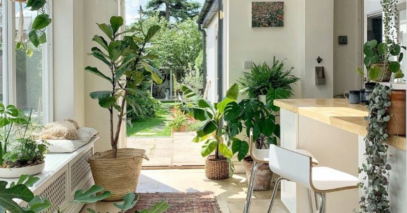 Ông bà nói: "Vận đến không ồn ào, nhưng sẽ có điềm báo" - 6 dấu hiệu cho biết nhà bạn có lộc trời ban