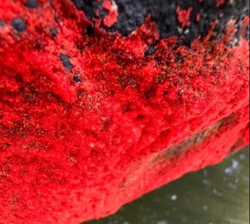 Cảnh tượng lạ trên một dòng sông ở Việt Nam: Tảng đá bỗng đỏ rực như "nở hoa", chính quyền nói gì?