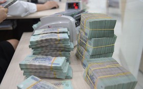 Thanh tra Ngân hàng Nhà nước: Hoạt động cấp tín dụng của 1 chi nhánh ngân hàng tiềm ẩn nhiều rủi ro