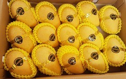 Loại quả bán đầy chợ Việt nhưng ra nước ngoài lại hóa "vàng ròng" mang về trăm triệu USD, chinh phục hơn 40 quốc gia