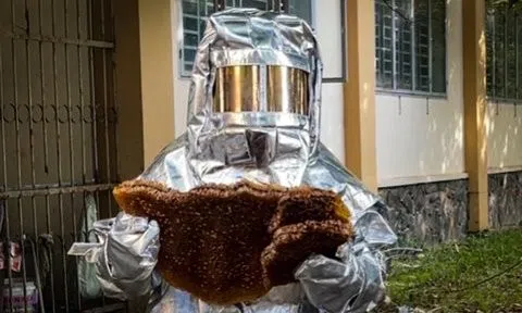 Đồng Nai: Xử lý tổ ong “khủng” tại trường học
