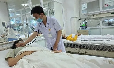 Đắk Lắk: Hàng trăm người dân nhập viện vì bị rắn độc tấn công