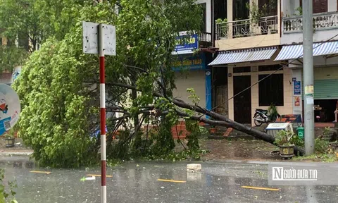 Hà Nội: Cây đổ trên đường Trần Duy Hưng làm một người thiệt mạng