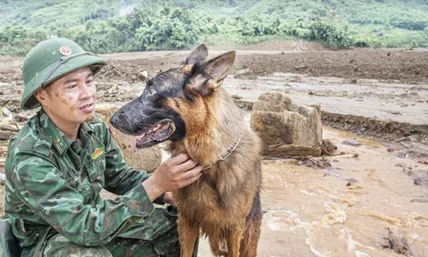 Vào Làng Nủ, gặp chú chó từng đi cứu hộ quốc tế