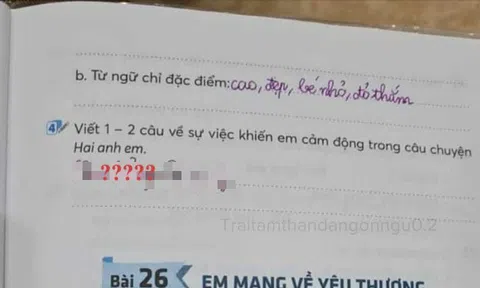 Đề bài yêu cầu "Viết 1, 2 câu cảm động về câu chuyện Hai anh em", học sinh ngoáy bút 4 từ không ai ngờ!