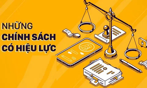 Những chính sách mới có hiệu lực tháng 11/2024