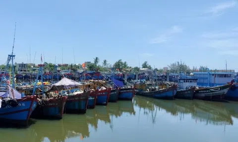 Quảng Ngãi: Ngăn chặn, xử lý tàu cá có ý định đi khai thác vùng biển nước ngoài