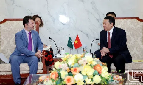 Thái Nguyên thúc đẩy ký thỏa thuận xuất khẩu chè sang Pakistan