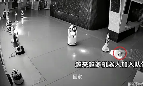 Robot nhỏ rủ rê 12 robot lớn 'bỏ việc' gây xôn xao Trung Quốc