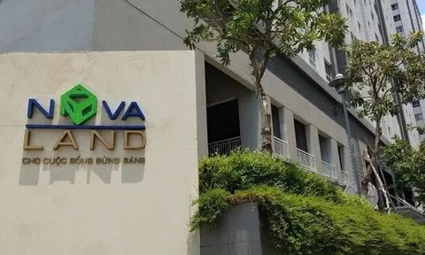 Vừa thay CEO, Novaland bổ nhiệm thêm 2 phó tổng giám đốc mới