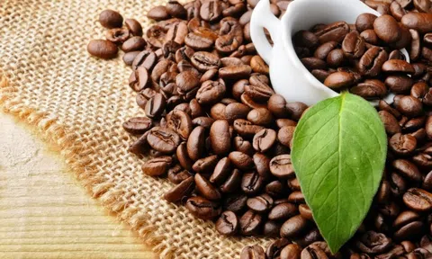 Giá cà phê Arabica tiếp tục leo đỉnh, giá ngô tăng sau báo cáo WASDE