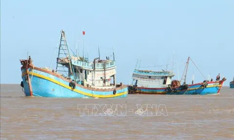 Bến Tre tăng cường các giải pháp chống khai thác IUU