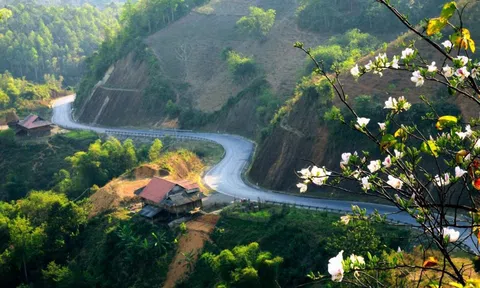 Cao điểm phải huy động nhà dân đón du khách, một tỉnh công bố doanh thu du lịch kỷ lục