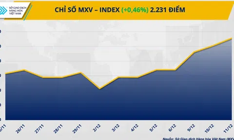 Thị trường năng lượng ‘rực xanh’ kéo chỉ số MXV-Index tăng tiếp