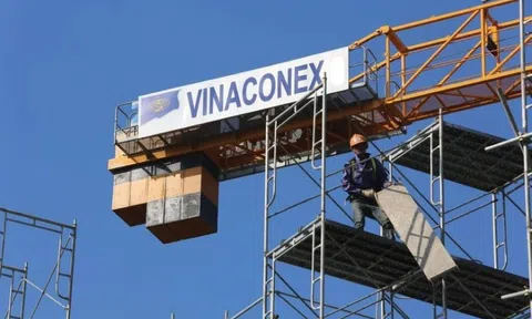 Hai lãnh đạo Vinaconex xin rút khỏi Vimeco trước thềm đại hội cổ đông