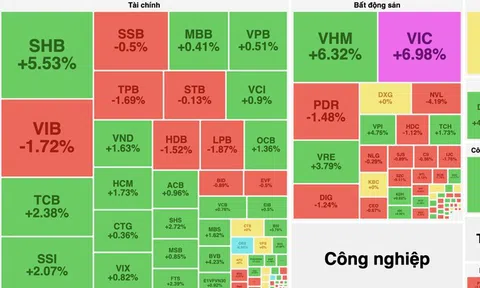 Cổ phiếu họ Vin thăng hoa dẫn dắt thị trường