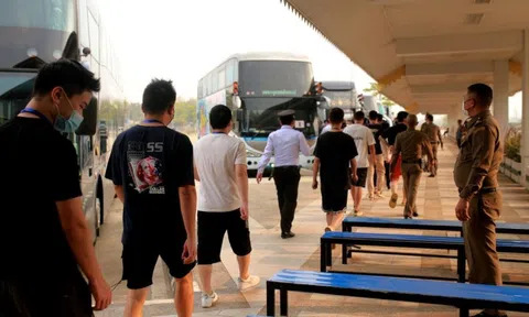 Nhiều người Việt ra nước ngoài dính lừa đảo "việc nhẹ, lương cao": Bộ Ngoại giao nói gì?