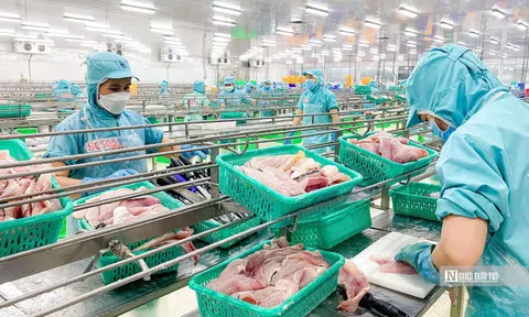 Ứng phó thuế đối ứng từ Mỹ, ngành thuỷ sản đề xuất 2 gói hỗ trợ doanh nghiệp