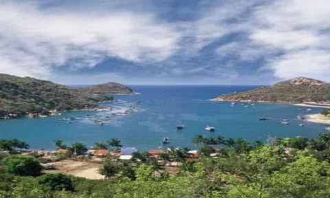 Ninh Thuận thông tin việc chuyển 11,58ha rừng đặc dụng để làm du lịch