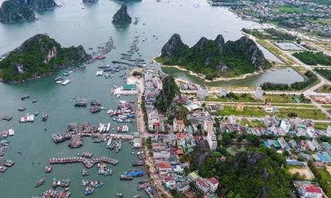 Quảng Ninh báo tin vui