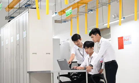 Tuyến cáp có dung lượng lớn nhất Việt Nam đã đi vào hoạt động