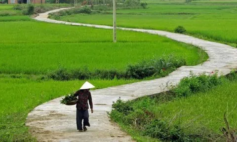 Tiếng Việt gọi tên nỗi lòng bằng một từ mà tiếng Anh chẳng thể đuổi kịp: Da diết như lời ru, sâu lắng hơn ký ức