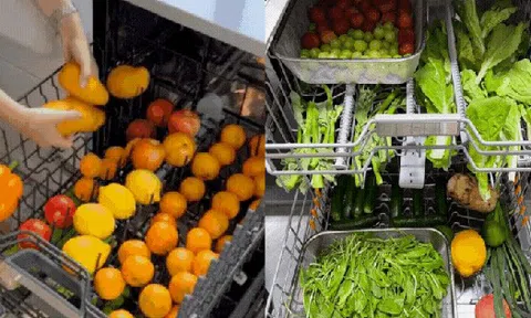 23,5 triệu người tranh cãi dữ dội về hành động của người phụ nữ dùng máy rửa bát để làm việc này