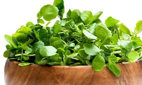 2 loại rau người Việt thích mê dễ là "ổ sán", nhất là cái số 1