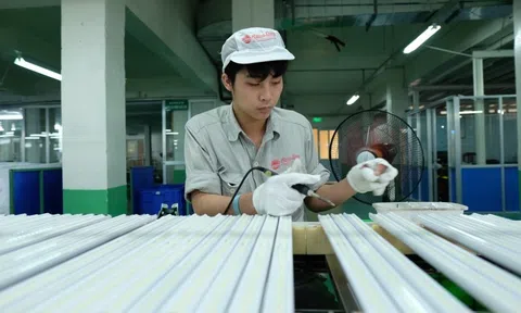Bóng đèn Rạng Đông hụt nửa lợi nhuận vì 'cơn sóng' hàng Trung Quốc