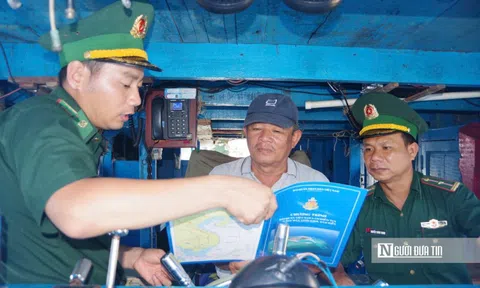 Bình Định mở cao điểm, xử lý nghiêm các trường hợp tàu cá vi phạm không đủ điều kiện hoạt động