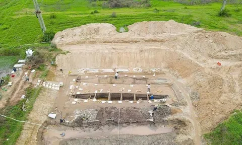 Cải tạo đất để nuôi cá, người dân Việt Nam phát hiện vật lạ dài 17m, chuyên gia xác nhận báu vật chưa từng thấy trên thế giới
