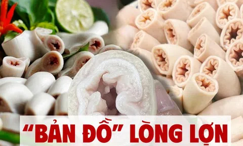 Lòng lợn “bách khoa toàn thư”: Mỗi miếng một tên gọi, ăn sai là mất hết tinh túy!