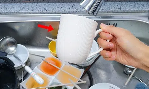 Rửa bát kiểu này thì xin lỗi, coi chừng vi khuẩn "cắm rễ" cả đời trong bếp nhà bạn!