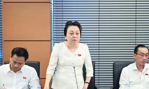 ĐBQH: Mua phải hàng giả, người dân phải được bồi thường
