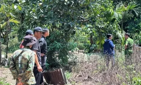 2 người đàn ông tử vong khi bơm nước cho vịt, nghi do điện giật