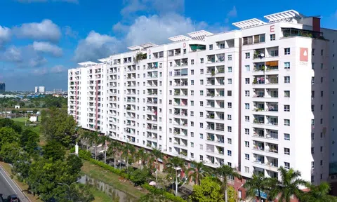 Ban quản trị chung cư ở TP.HCM bị phạt gần 120 tỷ đồng