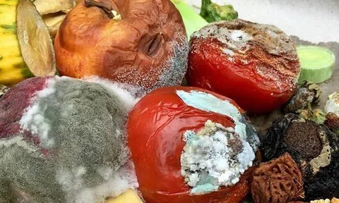 Thực phẩm mốc chỉ cần vứt bỏ hay cắt phần hỏng là vẫn dùng được? Những dấu hiệu nhận biết không phải ai cũng rõ