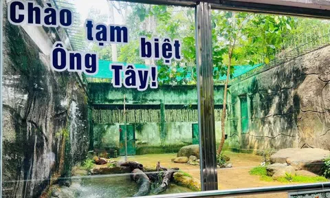 Xúc động lễ chia tay “ông” hổ Tây ở Thảo Cầm Viên Sài Gòn