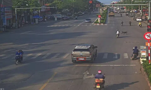 208 xe có biển số sau nhanh chóng nộp phạt nguội theo Nghị định 168