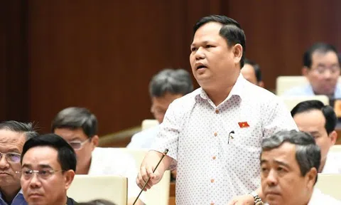 Ngành điện rất thua lỗ, sao vẫn cứ độc quyền?