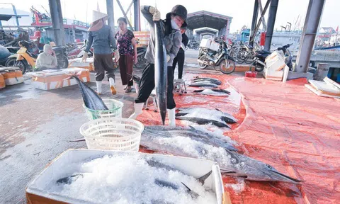 “Cùng ngư dân thắp sáng đèn trên biển” chung tay tháo gỡ thẻ vàng IUU