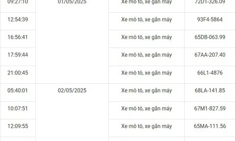 101 xe có biển số sau nhanh chóng nộp phạt nguội theo Nghị định 168