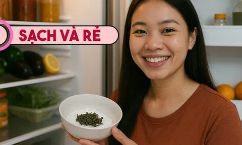 Chỉ tốn 1.000 đồng, tôi đã khử sạch mùi hôi trong tủ lạnh, thứ mùi dai dẳng suốt cả năm biến mất chỉ sau 1 đêm