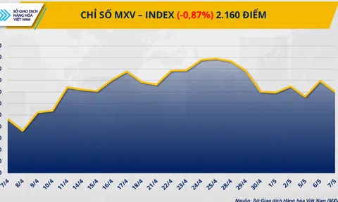 Lực bán mạnh trên thị trường đẩy MXV-Index rơi 19 điểm