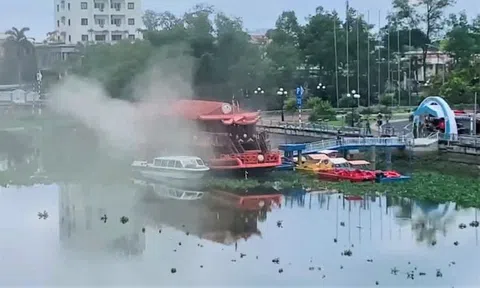 Chuột cắn dây điện gây cháy du thuyền