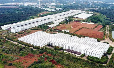 Tỉnh có 'kho báu' lớn nhất nước muốn giữ lại 50% nguồn thu khoáng sản