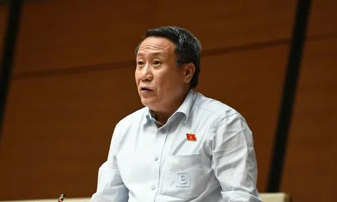 Vi phạm nhỏ, doanh nhân có thể được tại ngoại