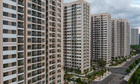 Rà soát quy định cho thuê căn hộ ngắn ngày
